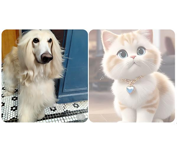 OPPO Reno 13 FS 5G smartphone