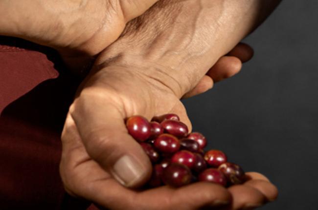 Nespresso Vertuo Up