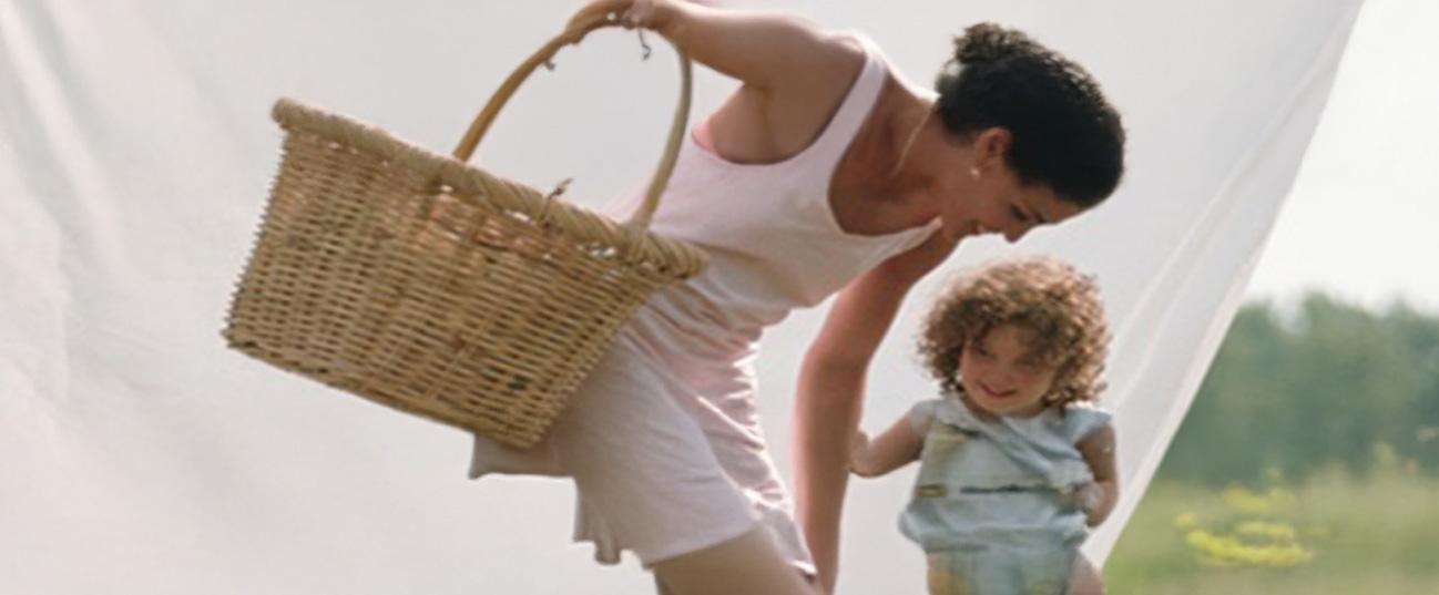 TEFAL GV9E22E0 PerfectCare Pro Express Eco