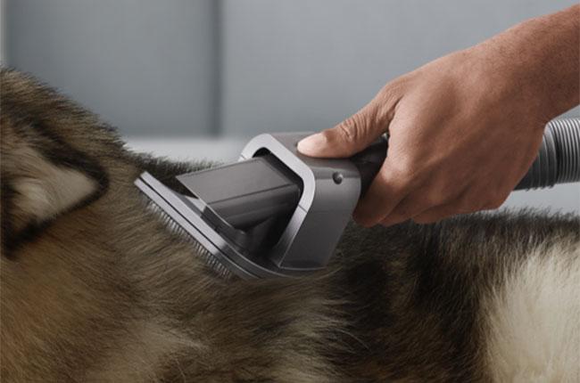 DYSON 972205-01 Σετ Περιποίησης Κατοικίδιων