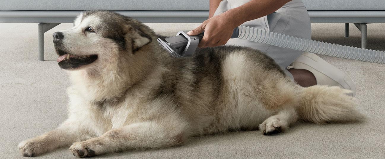 DYSON 972205-01 Σετ Περιποίησης Κατοικίδιων