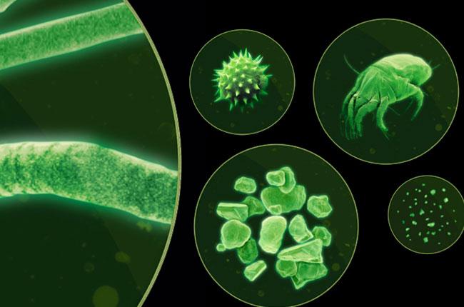 DYSON V15s (448798-01) Detect Submarine