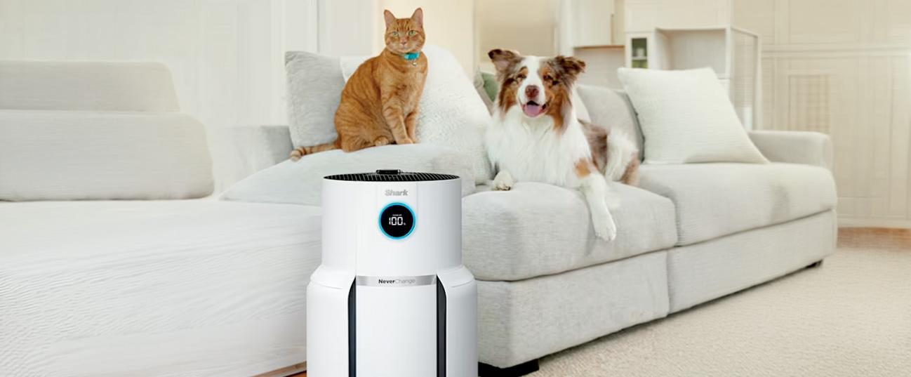 SHARK HP150EU NeverChange5