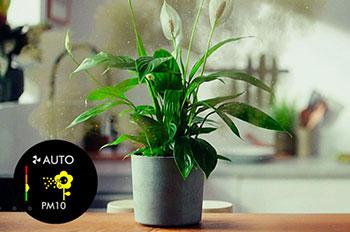 DYSON BP04 Air Purifier Big+Quiet Formal καθαριστής αέρα​ 