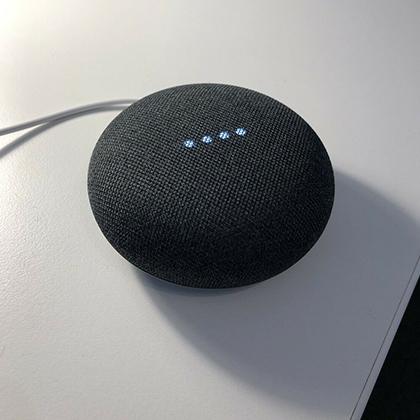 GOOGLE Home Mini