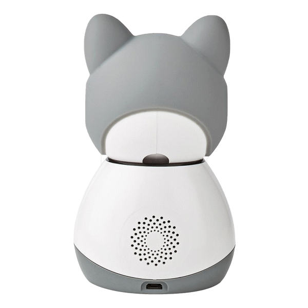 Επιλεγμένη εικόνα