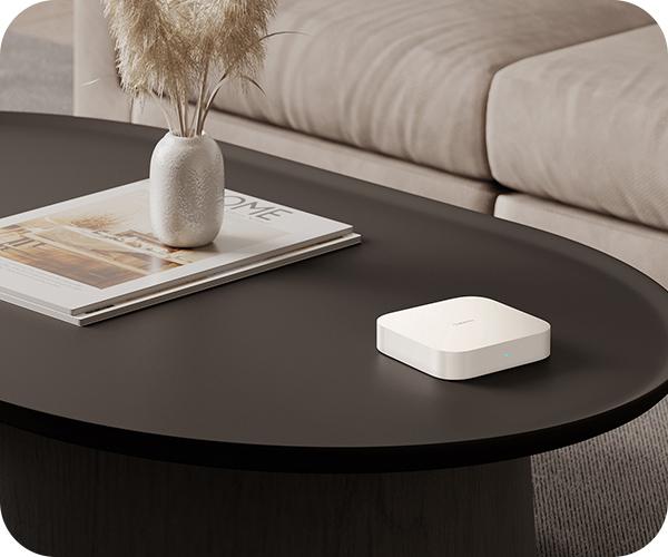Xiaomi Smart Home Hub 2 ethernet
