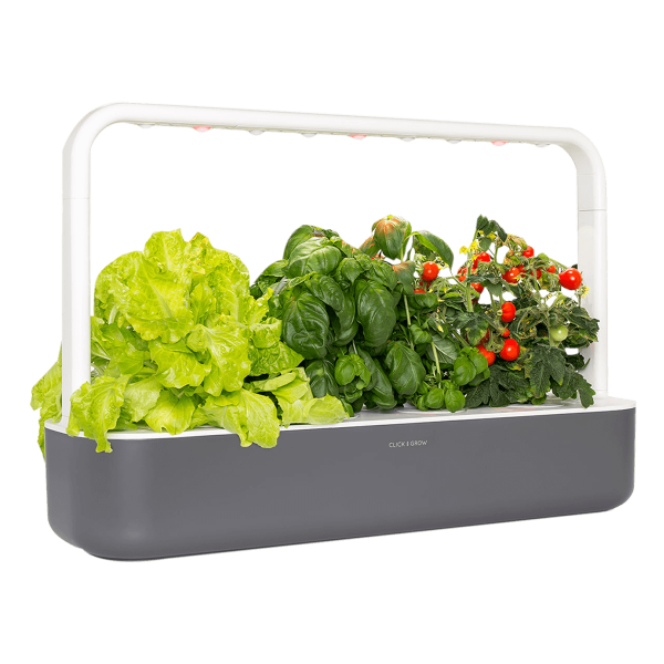 Επιλεγμένη εικόνα