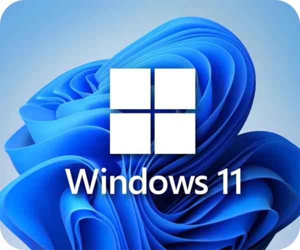 ASUS Vivobook 15.6 windows