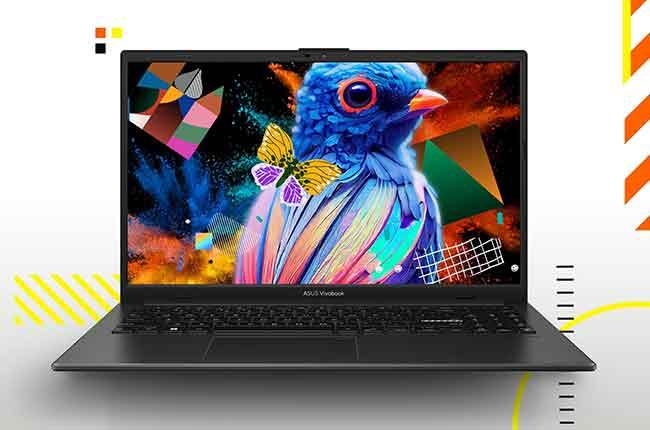 ASUS Vivobook Go 15 laptop
