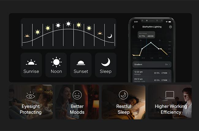 TP-LINK Tapo L430C έξυπνος λαμπτήρας Multicolor
