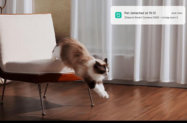 παρακολουθείς και να καταγράφεις τις κινήσεις