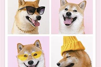 XΙΑΟΜΙ Portable Photo Printer 1S