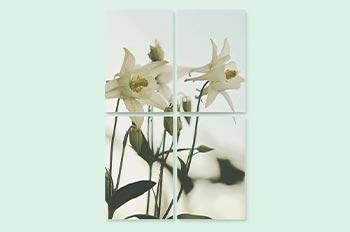 XΙΑΟΜΙ Portable Photo Printer 1S