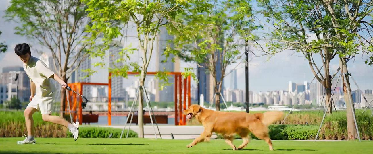 DJI Osmo Mobile 8 gimbal