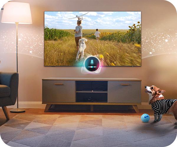 SAMSUNG QN900F Mini LED 8K Smart TV