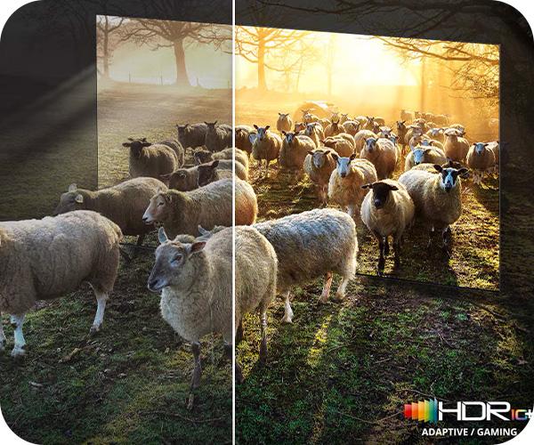 SAMSUNG QN900F Mini LED 8K Smart TV
