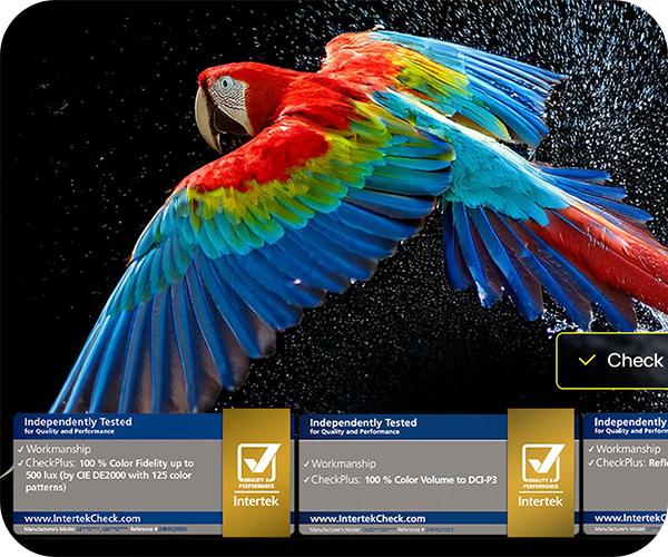  LG G5 OLED evo 4K Smart TV Τηλεόραση