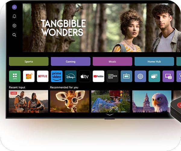LG 65QNED87 evo AI 65'' 4K AI Voice ID
