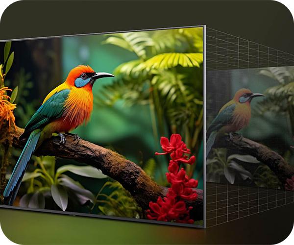 LG LED 4K Smart TV Τηλεόραση εικόνα