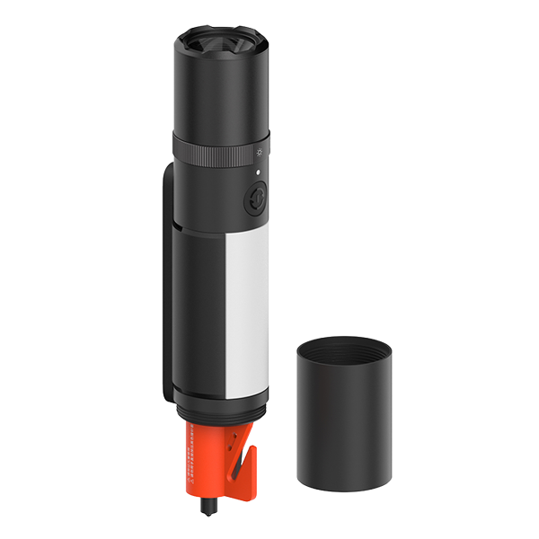 Επιλεγμένη εικόνα