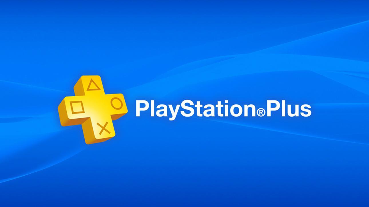 Sony PlayStation Plus Card Dual