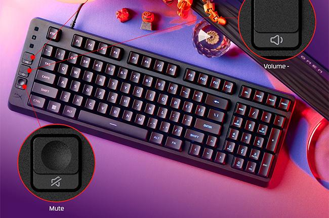 HYPERX Eve 